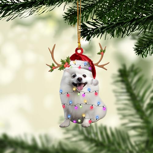 Pomeranian Christmas Ornament Flat Decor - Variation 3