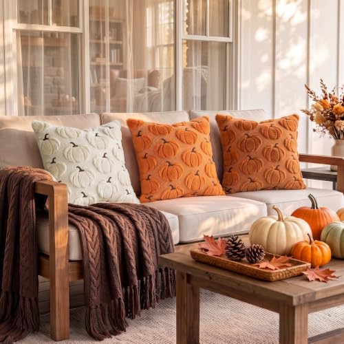 Rust Fall Pumpkin Throw Pillow Covers 18x18 Set of 2 - Farmhouse Decor