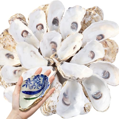 30PCS 4-5 Inch Concave Oyster Shells for Crafts, Natural and Large