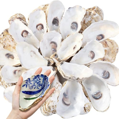 30PCS 4-5 Inch Concave Oyster Shells for Crafts, Natural and Large