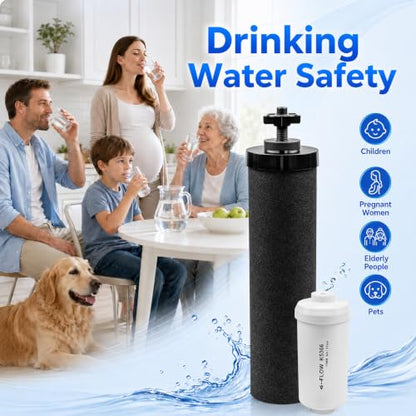 Gravity Water Filter Replacement for Berkey System - Multi-Impurity Purification