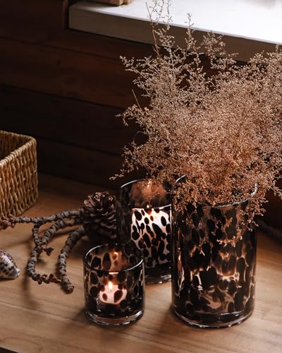 Clear Glass Hurricane Candle Holder Set with Black Tortoise Pattern - 3 Piece