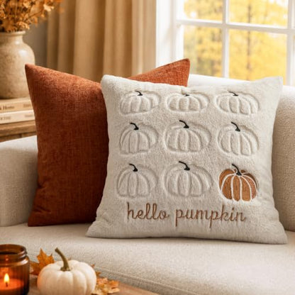 Fall Pumpkin Pillow Covers 18x18 Beige Set of 2 - Harvest Decor