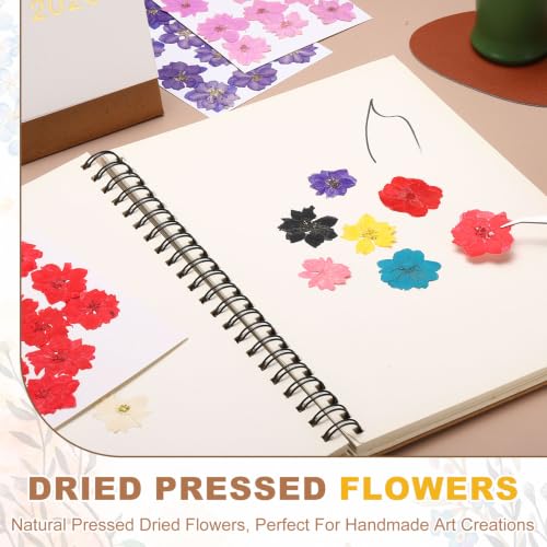 Pressed Dried Flowers for Crafts - Dark Pink Cherry Blossom, 12 Pcs