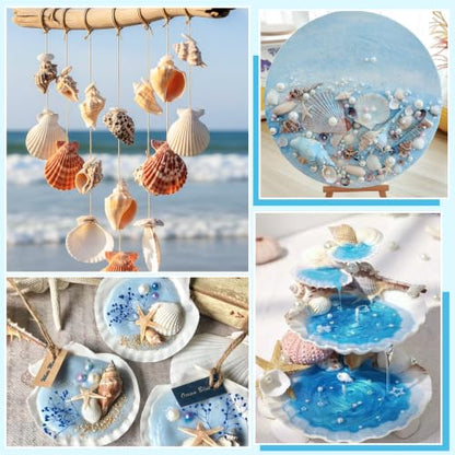 White Sea Shells for Crafts 100PCS Natural Scallop Shells 1.5-2 Inch