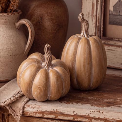 Fall Terracotta Faux Pumpkin Decor Set for Home Table Arrangements