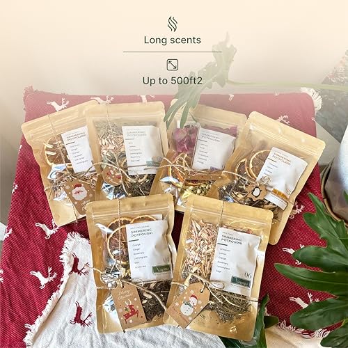 Simmer Pot Gift Set with Dried Herbs & Spices for Home Fragrance, Holiday Decor