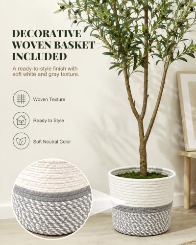 6FT Artificial Olive Tree with Woven Basket - Realistic Indoor Decor