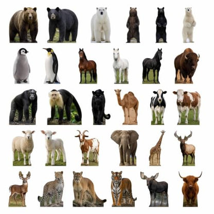 Desert Camel Cardboard Cutout Standee - 2ft Wildlife Party Decor