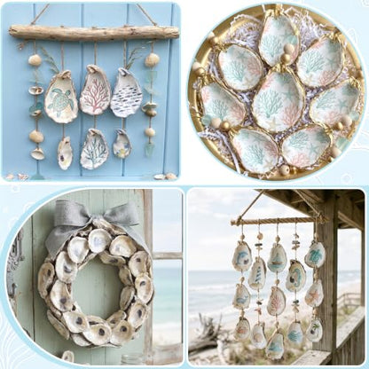 30PCS Flat Oyster Shells for Crafts 2-3 Inch Seashells Natural DIY Decor