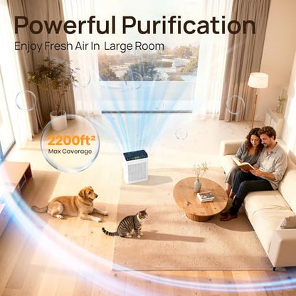 Evalit ET066 Air Purifier Replacement Cartridge for Large Spaces