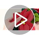 18-Inch Felt Poinsettia Wreath - Red & White Floral Holiday Decoration (Variation: Red / Red White Flower)