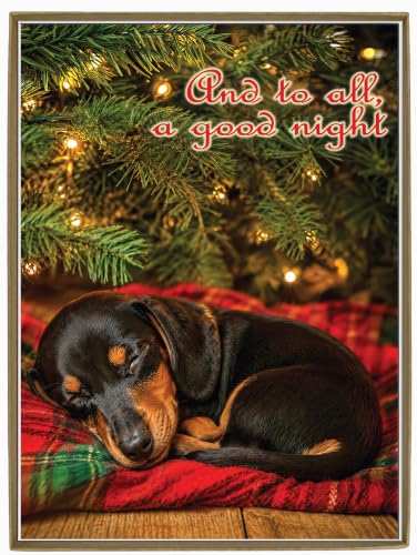 Dachshund Christmas Card Set - 12 Holiday Greeting Cards with Envelopes - Sleepy Dog Design - Boxed Pack of 12