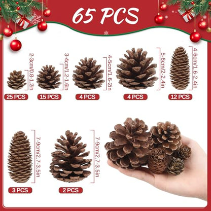 Natural Pine Cone Decorations for Christmas & Autumn - 65 pcs Bulk Set