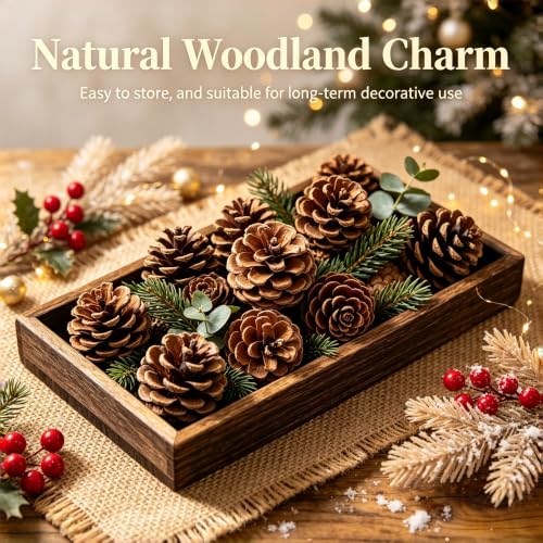Natural Pine Cones Bulk Set - Rustic 2.3 Inch Decorations for Holiday & Fall