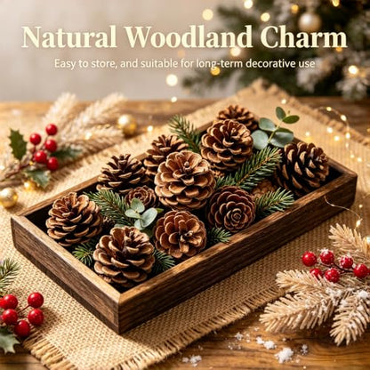 Natural Pine Cones Bulk Set - Rustic 2.3 Inch Decorations for Holiday & Fall