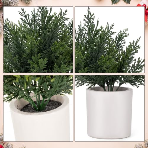 Christmas Mini Cedar Ball Tree Set - White, 12 Pack Artificial Decor