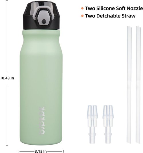BJPKPK Insulated Water Bottle - 25oz Stainless Steel Flask with Straw & Carry Handle | Sage Color