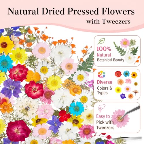 160 Pcs Natural Dried Flowers for Resin Crafts Jewelry Candle Making