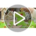 24 Pcs Mini Christmas Stockings - Green Faux Fur Holiday Decor, 6 Inch