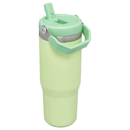 Stanley IceFlow Flip Straw Tumbler with Handle 30 oz | Twist On Lid and Flip Up Straw | Leak Resistant Water Bottle | Insulated Stainless Steel |BPA-Free | Citron