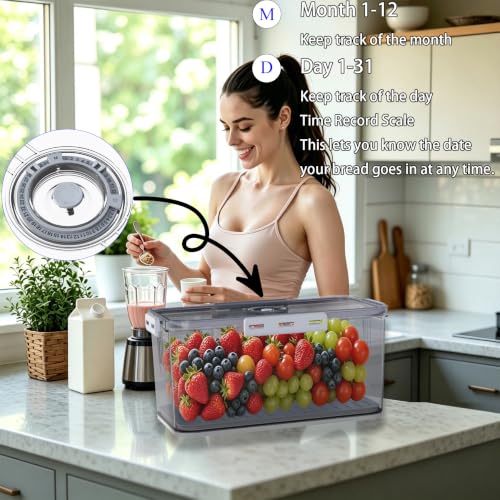 Clear Bread Box with Lid and Time Recording - Grey Food Storage Container
