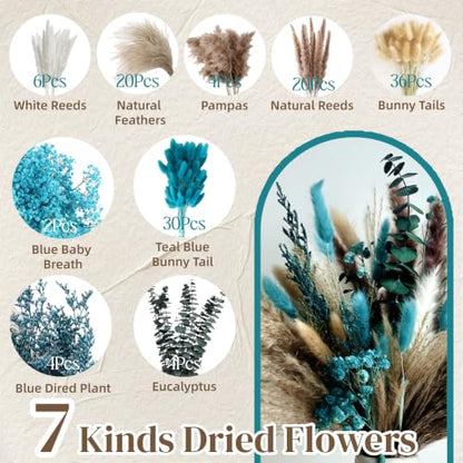 125 Pcs Turquoise Dried Pampas Grass for Home Decor & Bouquets - Natural & Fluffy
