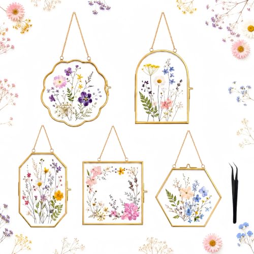 Pressed Flower Glass Frame Set 5Pcs - Scalloped Gold Wall Hanging Frames