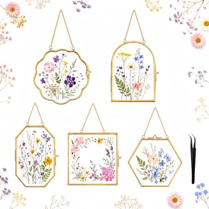 Pressed Flower Glass Frame Set 5Pcs - Scalloped Gold Wall Hanging Frames