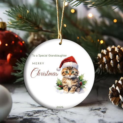 Granddaughter Christmas Ornament V16 - Cute Kitten Santa Holiday Keepsake