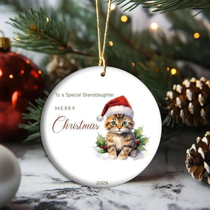 Granddaughter Christmas Ornament V16 - Cute Kitten Santa Holiday Keepsake