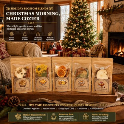 Christmas Simmer Pot Kit - 5 Pack Bakery Scented Potpourri with Dried Fruits & Spices - Cozy Home Fragrance