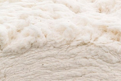 Grown In The USA Raw Cotton Stuffing - Premium Quality Batting | 3 lbs