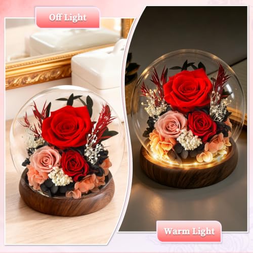 Red Preserved Roses Gift in Acrylic Dome for Her Birthday - Forever Flowers
