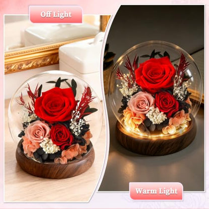 Red Preserved Roses Gift in Acrylic Dome for Her Birthday - Forever Flowers