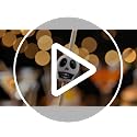 100 Pcs Bamboo Skull Cocktail Picks for Halloween Party Decor