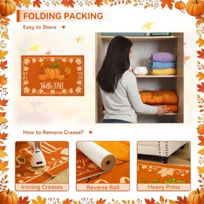 Hello Pumpkin Fall Door Mat 17x29 Inches Welcome Rug for Porch & Entryway - Variations Available