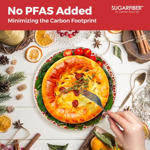 9 Inch Compostable Christmas Paper Plates Holiday Party Disposable Dinnerware - Harvest Pack