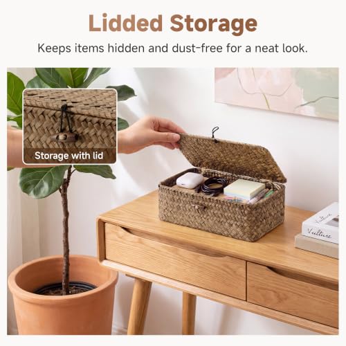 StorageWorks Wicker Basket with Lid - Brown Seagrass, 9 x 5 x 3¼ Inches