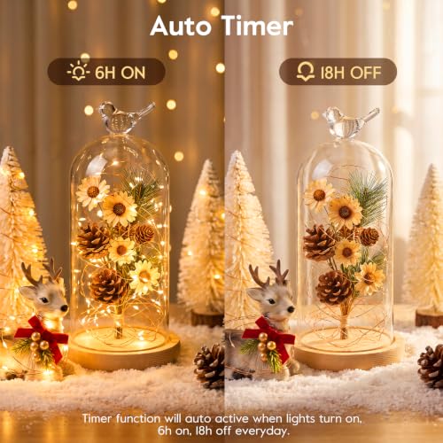 Warm White Battery Operated Fairy Lights 2 Pack 16ft LED String Lights