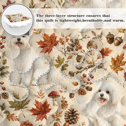 BlessLiving Maple Maltese Quilt Set - All-Season Microfiber Bedding, Full/Queen