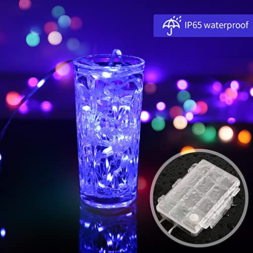Multicolor Battery Operated Fairy Lights with Remote - 16.4ft String, 10 Colors, 12 Modes