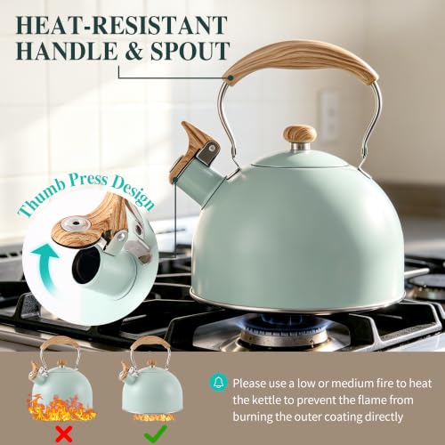 Stainless Steel 2.6 Qt Whistling Tea Kettle with Wood Pattern Handle - Turquoise