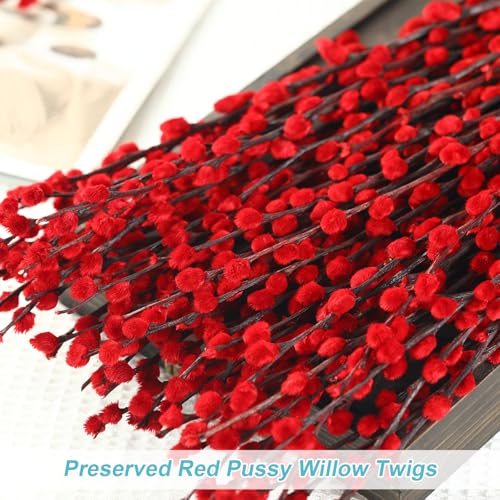 Natural Dried PussyWillow Branches for Rustic Wedding Decor Fireplace Mantel Centerpiece