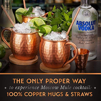 Copper Moscow Mule Mugs Set of 4 - Oval Handcrafted 16 oz Copper Cups with Straws & Coasters