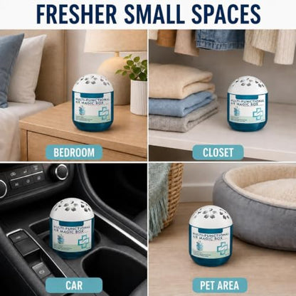 Passive Air Purifier with Natural Plant Extracts for Dust Odor Removal