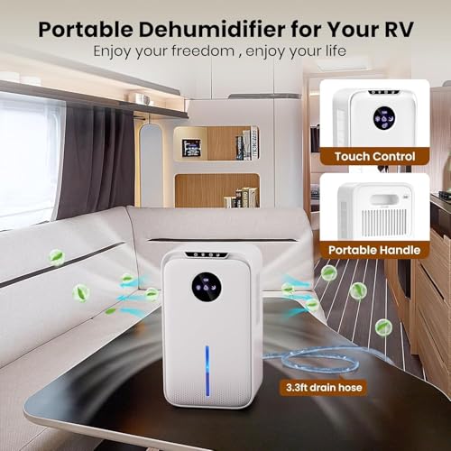 Light White Small Home Dehumidifier (88 OZ) with Drain Hose, Timer, Sleep Mode