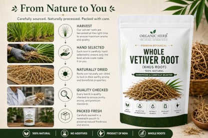 Organic Vetiver Root for Potpourri & Natural Fragrance - 4 oz