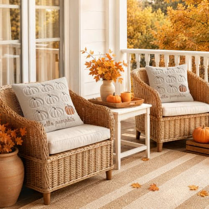 Fall Pumpkin Pillow Covers 18x18 Beige Set of 2 - Harvest Decor