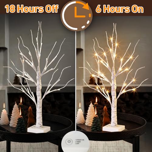 Lighted Birch Tree Christmas Decorations - 2FT Mini LED Tree with Timer, Indoor Table Centerpiece